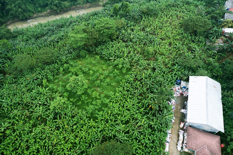  Hutan Kota Pakansari